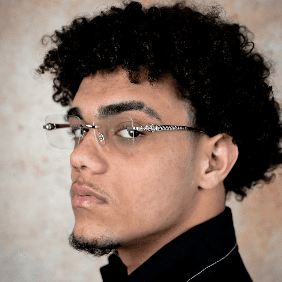 PANTHER - PRATEADO TRANSPARENTE