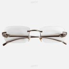 PANTHER - PRATEADO TRANSPARENTE